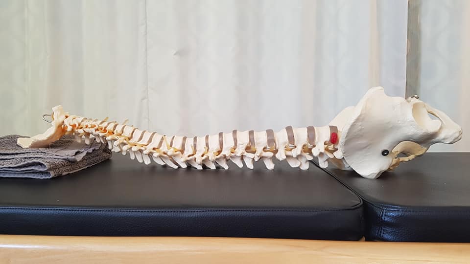 How Pilates can improve your posture.