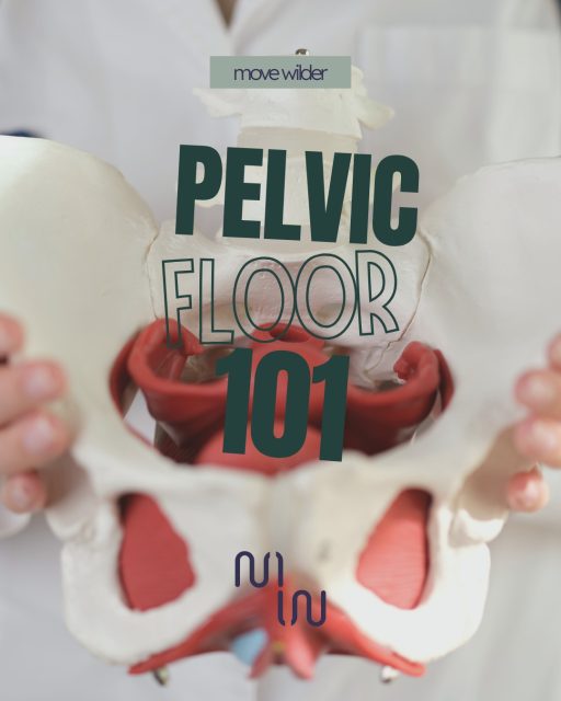 🌿 The 3 Key Jobs of Your Pelvic Floor

We’ve talked about the pelvic floor over the last few weeks, so here’s a quick round-up of its key roles and why more tension isn’t always better.

1️⃣ Support
A healthy pelvic floor isn’t constantly gripping. It’s dynamic, adjusting the level of support you need as you move, breathe and exercise.

2️⃣ Recoil
Think of the pelvic floor like a spring.
🌬️ Inhale → the diaphragm descends and the pelvic floor lengthens.
💨 Exhale → the pelvic floor recoils back up.

Good recoil means the pelvic floor can work efficiently, use less energy and avoid tiring unnecessarily.

3️⃣ Respond to movement & pressure
Walking, running and jumping all create forces that your body needs to absorb and manage. Your pelvic floor needs to adapt to these changing demands throughout the day.

💡 More tension isn't always better. Constantly gripping can fatigue the muscles and may contribute to pelvic discomfort or dysfunction.

Posture and alignment matter too. This is why we work on alignment, breathing, core and pelvic floor function in both my Pilates and strength sessions.

Try this: when you bend your legs, notice how your sit bones naturally widen. Compare sitting down while gripping your pelvic floor with sitting down without squeezing. What feels more natural and supportive?

Better movement patterns = a stronger, more adaptable body. 💚

🌸 Want to learn more? Join the waiting list for my upcoming Pelvic Floor Workshop.

📩 Email Hannah at hannah@movewilder.co.uk

#PelvicFloor #PelvicFloorHealth #PelvicHealth #WomensHealth #WomensFitness #PelvicFloorExercises #CoreAndPelvicFloor #MoveWilder #PilatesForWomen #StrengthForWomen #FunctionalMovement #MovementMatters #HealthyMovement #PostureAndAlignment #Breathwork #MoveBetterFeelBetter