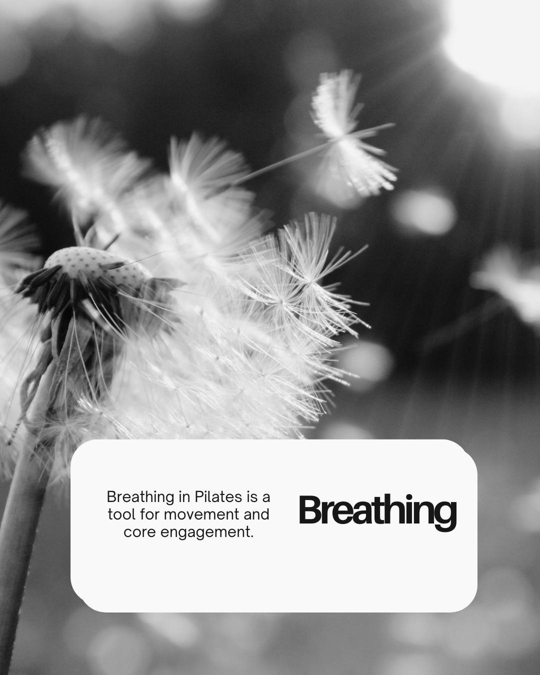 🌬️ Breathing: The Foundation of Pilates

Breathing isn't just something that happens during Pilates—it's one of the most important parts of every movement.

Purposeful, controlled breathing helps you:
✨ Activate your deep core muscles
✨ Support your spine and pelvis
✨ Improve movement efficiency
✨ Increase oxygen flow to working muscles
✨ Reduce tension and promote relaxation

In Pilates, we coordinate each breath with movement, encouraging the ribcage to expand while engaging the deep abdominal and pelvic floor muscles. This creates a strong, stable foundation so you can move with greater control, balance, and confidence.

Sometimes, the simplest thing—your breath—can make the biggest difference.

How often do you notice your breathing when you exercise? Let me know in the comments! 💚

#PilatesBreathing #Breathwork #Pilates #CoreStrength #MindBodyConnection #MoveWilder #HealthyMovement #MovementMatters #PilatesPractice #FunctionalMovement #StressRelief #MoveBetterFeelBetter #StrengthAndMobility #WellnessJourney #PilatesUK