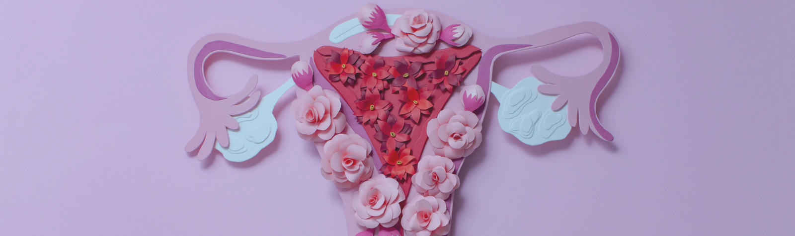 How your menstrual cycle effects your training