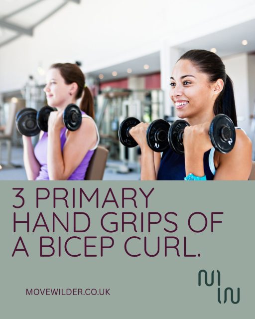💪 The 3 Main Hand Grips for Better Bicep Curls
Did you know that simply changing your grip can target different muscles in your arms?
1️⃣ Supinated Grip (Palms Up)
The classic bicep curl. This grip places the greatest emphasis on the biceps brachii, helping to build size and strength.
Pro tip: Start with a neutral grip and rotate your palms upwards as you curl to maximise the squeeze at the top.
2️⃣ Neutral Grip (Hammer Curl)
With your palms facing each other, the focus shifts to the brachialis and brachioradialis, helping build thicker arms and stronger forearms.
3️⃣ Pronated Grip (Reverse Curl)
Palms face down, placing greater emphasis on the forearms while still strengthening the biceps. Great for improving grip strength and balanced arm development.
Changing your grip is a simple way to get more from your strength training and ensure you're building well-rounded upper body strength—not just bigger biceps.
Want to learn more about resistance training, Pilates, and building functional strength? We'd love to help.
🌿 Visit movewilder.co.uk or contact Hannah at hannah@movewilder.co.uk.
#StrengthTraining #BicepCurls #UpperBodyWorkout #FunctionalStrength #MoveWilder #StrengthAndMobility #ArmWorkout #FitnessTips #MuscleBuilding #HomeWorkout #GymTips