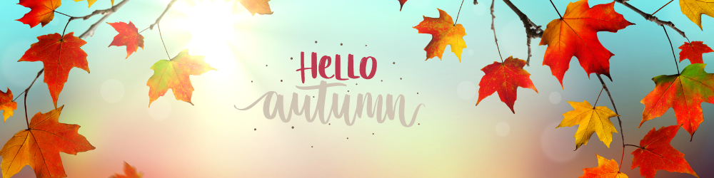 Autumn Pilates Offer