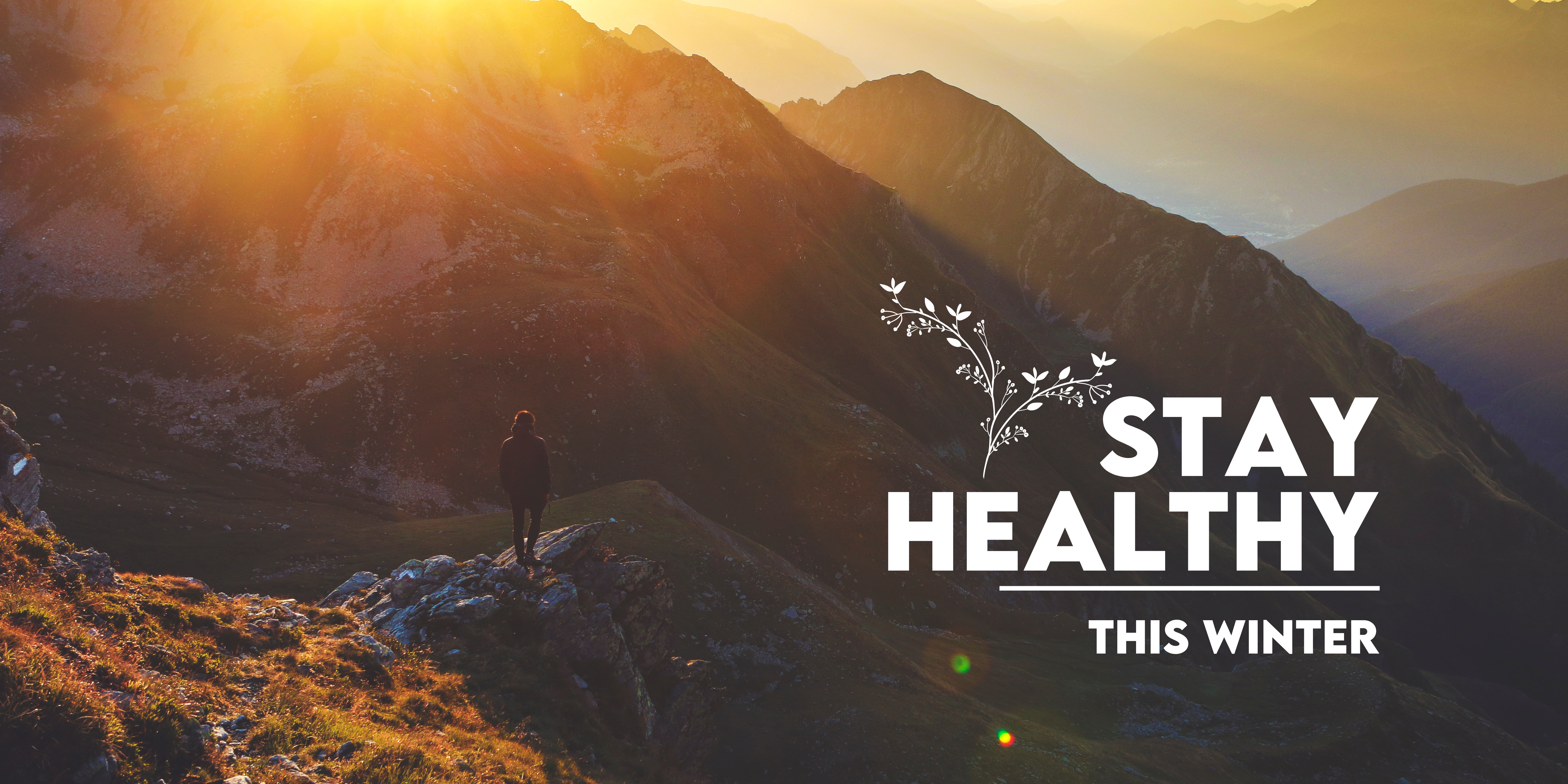 The Benefits of Online Fitness Classes