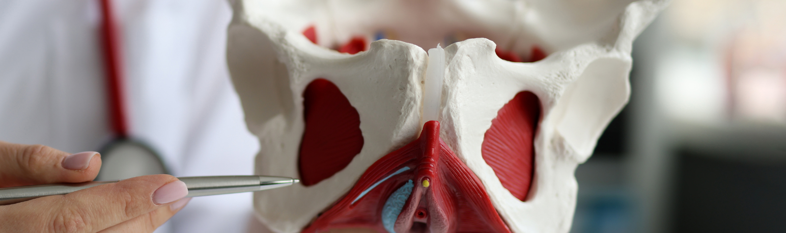 What exactly is your pelvic floor anyway?