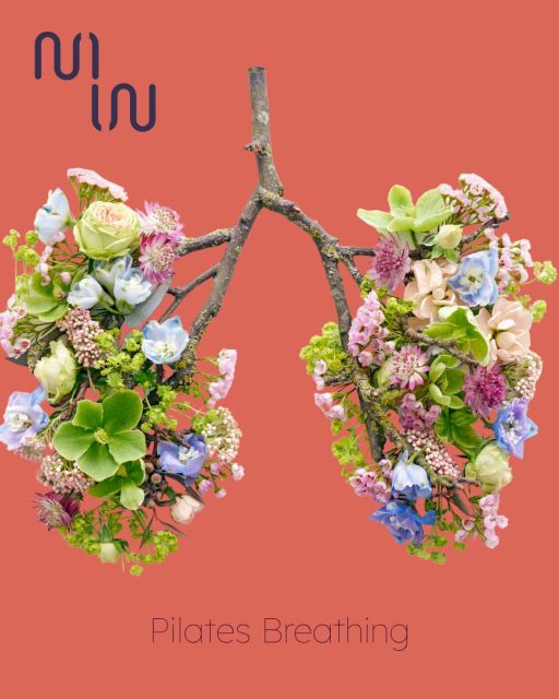 🌬️ Pilates Breathing: Why Does It Matter?
Breathing is a fundamental part of Pilates. The right breathing pattern can improve core engagement, movement control, relaxation and overall efficiency.
Here are some key breathing techniques:
1️⃣ Lateral / 360° Breathing
Breathe into the sides and back of your ribcage while keeping a gentle abdominal connection. This is the foundation for many Pilates exercises and helps support your spine and deep core.
2️⃣ Exhale on Exertion
Inhale to prepare, then exhale during the hardest part of the movement. This can help with core engagement and prevent you from holding your breath.
3️⃣ Rhythmic Breathing
Short, controlled breaths can be used during more energetic exercises such as The Hundred, helping you maintain rhythm and control.
4️⃣ Diaphragmatic Breathing
Deep, relaxed breathing that allows the ribs and abdomen to expand. Great for warm-ups, cool-downs, relaxation and connecting with your pelvic floor.
5️⃣ Upper Chest Breathing
Shallow breathing that lifts the chest and shoulders can create unnecessary tension, so we generally aim for a more relaxed, expansive breath in Pilates.
💚 The takeaway: Don't just go through the movements—breathe with them.
Try placing your hands around your ribs and feel them expand sideways and backwards as you inhale. Then gently exhale as you move through the effort.
The more you practise, the more naturally breath and movement work together.
#PilatesBreathing #Pilates #Breathwork #CoreStrength #MindBodyMovement #MoveWilder #PilatesPrinciples #PelvicFloorHealth #MovementQuality #FunctionalMovement #HealthyMovement #MoveBetterFeelBetter #PilatesUK #PilatesTips #WellnessJourney
