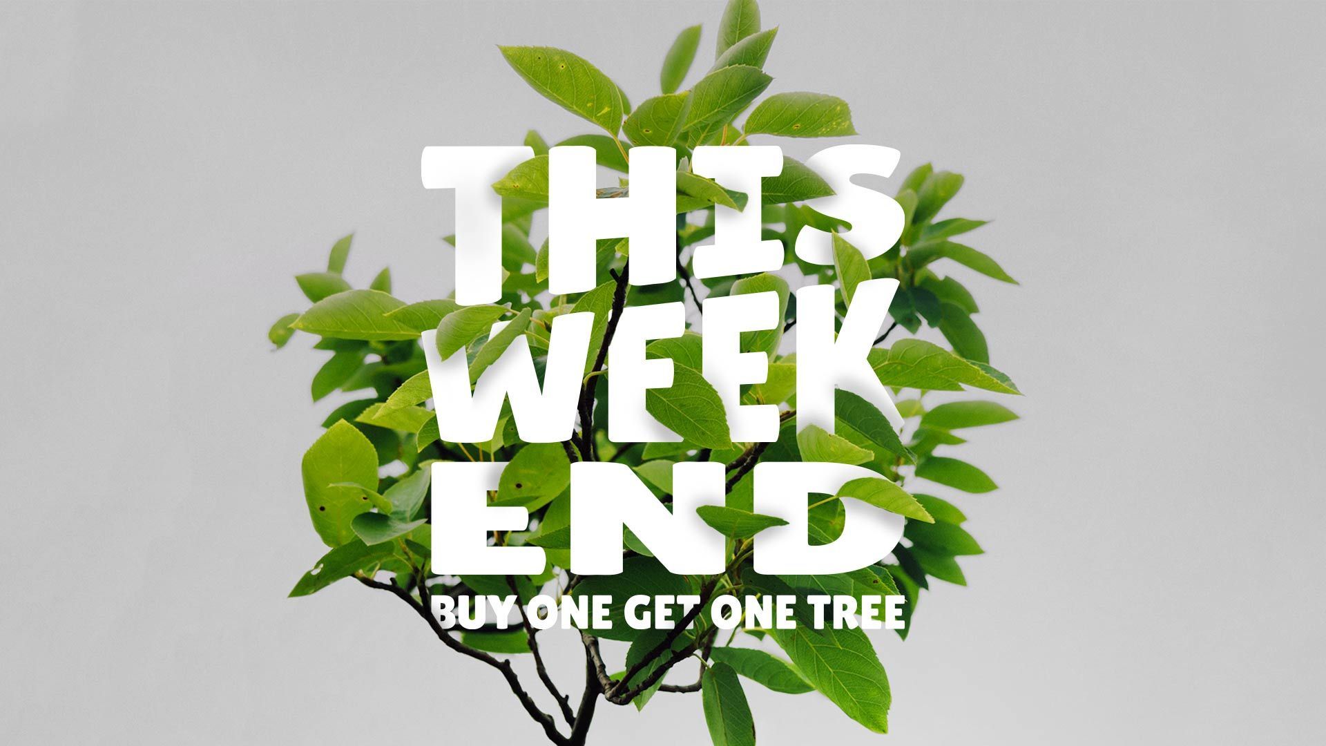 Do something different this Black Friday