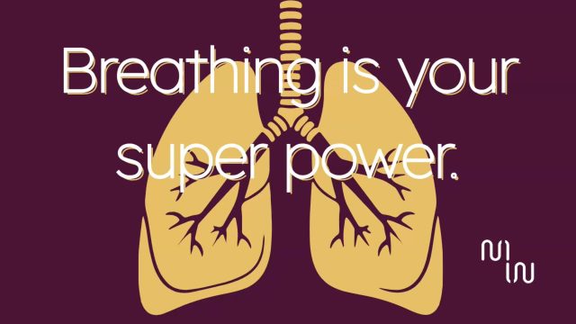 Breathing really is a super power, by learning to breath into the side back and front of the rib cage, (sometimes called 360 breathing).
As you inhale you expand the lungs working the intercostal muscles, the diaphragm moves down into the abdominal space and the pelvic floor lengthens.
As you exhale the pelvic floor and core tighten improve pelvic floor and core strength and spinal stability.

Try this simple exercise three times a day and let me know how you get on at hannah@movewilder.co.uk

Check out my Pilates and strength training programs for women here movewilder.co.uk

#strengthtraining #strengthandconditioningforwomen #womenshealth #pelvicfloorhealth #womensfitness