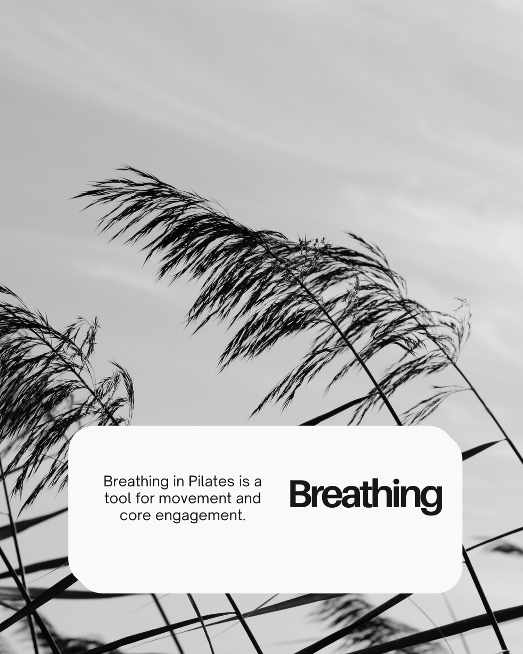 Breathing: The Foundation of Pilates