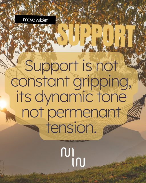 The first key function of a health pelvic floor is support. A health pelvic floor is not one that is always gripping. Pelvic floor function is dynamic, responding to the pressure of what you do in a day. When you just squeeze the pelvic floor constantly you fatigue the muscles which can create pain, leaking and in serious cases prolapse.
Your posture has a direct impact on your pelvic floor, this is why in all of our Pilates classes we do posture checks and talk a lot about alignment.

If you would like to know more about how to strengthen your pelvic floor get in touch with Hannah on hannah@movewilder.co.uk for more help and guidance. 
#pelvicfloor #pelvicfloorfunction #womenshealth #pilatesandthepelvicfloor