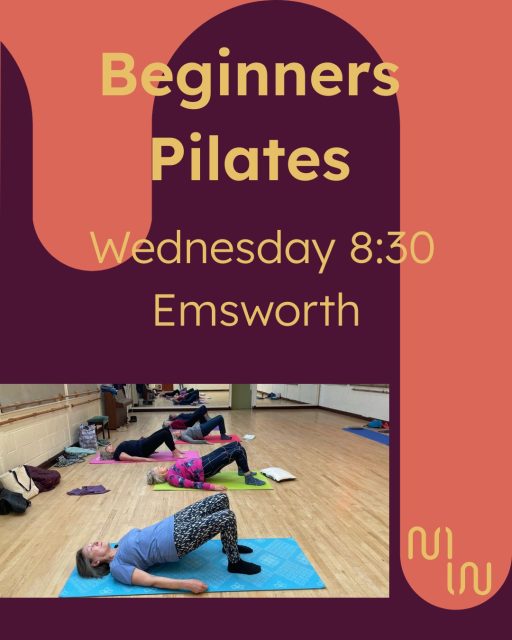 Thinking about starting (or restarting) your fitness journey? 🌱
We’d love to welcome you to Move Wilder.

We currently have a few spaces available in our Pilates classes in Emsworth and Southbourne, suitable for complete beginners right through to those with more experience. Our classes are fun, friendly, and engaging — with a focus on helping you move better, feel stronger, and enjoy your body again.

If you’re looking for supportive Pilates classes that meet you where you are, this could be your sign ✨

👉 Book online: movewilder.co.uk
📩 Or get in touch with Hannah: hannah@movewilder.co.uk

Come and move with us — your body will thank you 💚